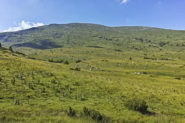 Ammazing Sommerlandschaft Des Rila Gebirges Der Nähe Des Belmeken Stausees — Stockfoto