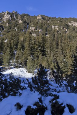 Bulgaristan 'ın Malyovitsa zirvesi yakınlarındaki Rila Dağı' nın şaşırtıcı kış manzarası