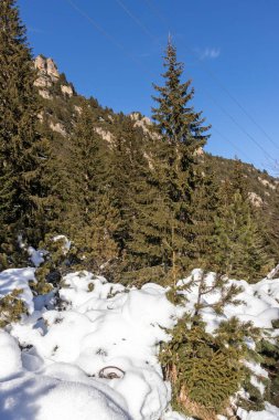 Bulgaristan 'ın Malyovitsa zirvesi yakınlarındaki Rila Dağı' nın şaşırtıcı kış manzarası