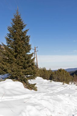 Bulgaristan 'ın Malyovitsa zirvesi yakınlarındaki Rila Dağı' nın şaşırtıcı kış manzarası