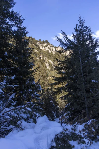 stock image Amazing Winter landscape of Rila Mountain near Malyovitsa peak, Bulgaria