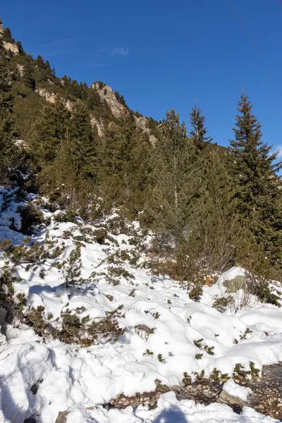 stock image Amazing Winter landscape of Rila Mountain near Malyovitsa peak, Bulgaria