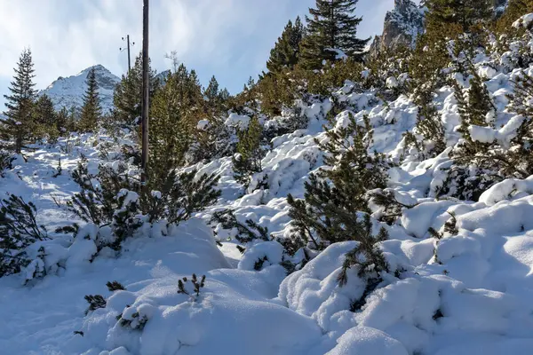 stock image Amazing Winter landscape of Rila Mountain near Malyovitsa peak, Bulgaria