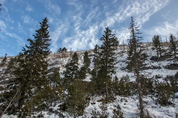 保加利亚Malyovitsa峰附近的Rila山冬季奇景 — 图库照片