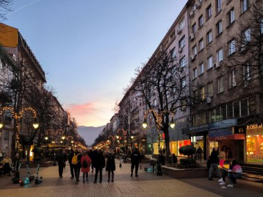 SOFYA, BULGARIA -HAZİRAN 5 Ocak 2023: Bulgaristan 'ın Sofya kentinin şaşırtıcı Günbatımı manzarası