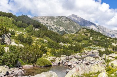 Bulgaristan 'ın Pirin Dağı' ndaki Banderitsa Nehri yakınlarındaki inanılmaz manzara