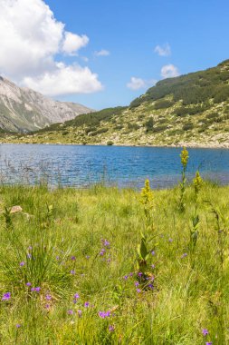 Bulgaristan 'ın Pirin Dağı' ndaki Banderitsa Nehri yakınlarındaki inanılmaz manzara