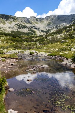 Bulgaristan 'ın Pirin Dağı' ndaki Banderitsa Nehri yakınlarındaki inanılmaz manzara