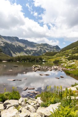 Bulgaristan 'ın Pirin Dağı' ndaki Banderitsa Nehri yakınlarındaki inanılmaz manzara