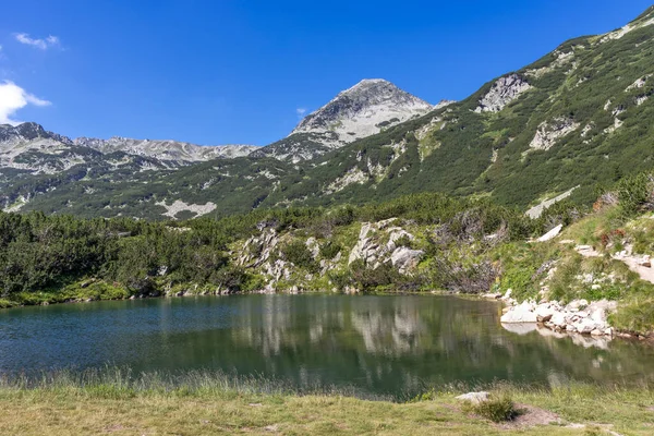 Increíble Paisaje Cerca Del Río Banderitsa Montaña Pirin Bulgaria —  Fotos de Stock