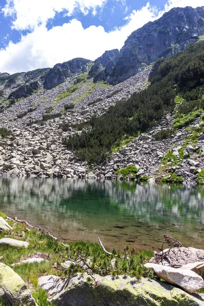 Increíble Paisaje Cerca Del Río Banderitsa Montaña Pirin Bulgaria —  Fotos de Stock