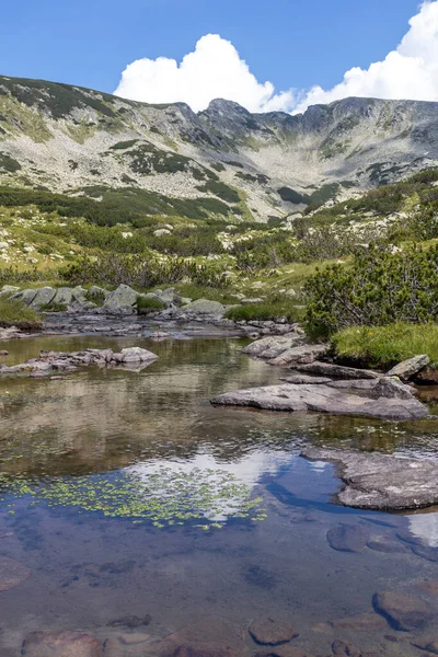 Amazing Landscape Banderitsa River Pirin Mountain Bulgaria — Stock Photo, Image