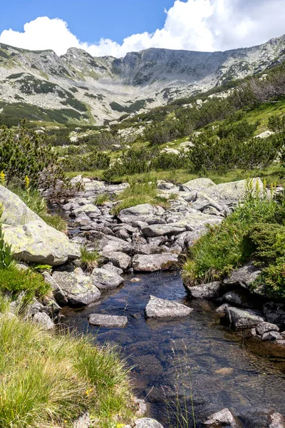 Paisagem Incrível Perto Rio Banderitsa Montanha Pirin Bulgária — Fotografia de Stock