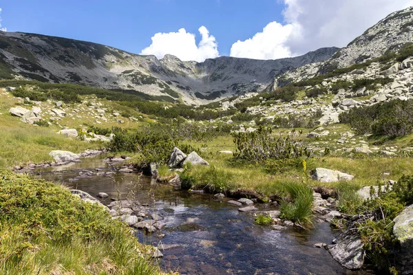 Peisaj Uimitor Lângă Râul Banderitsa Muntele Pirin Bulgaria — Fotografie, imagine de stoc