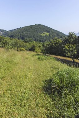 Bulgaristan 'ın Pernik Bölgesi, Kamenititsa zirvesi yakınlarındaki Erul dağının yaz manzarası