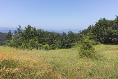 Bulgaristan 'ın Pernik Bölgesi, Kamenititsa zirvesi yakınlarındaki Erul dağının yaz manzarası