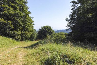 Bulgaristan 'ın Pernik Bölgesi, Kamenititsa zirvesi yakınlarındaki Erul dağının yaz manzarası