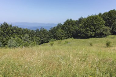 Bulgaristan 'ın Pernik Bölgesi, Kamenititsa zirvesi yakınlarındaki Erul dağının yaz manzarası