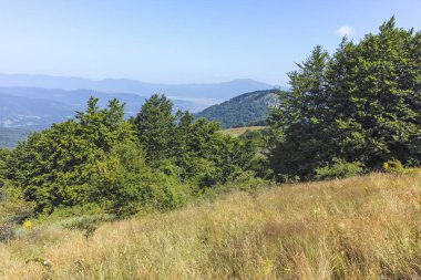 Bulgaristan 'ın Pernik Bölgesi, Kamenititsa zirvesi yakınlarındaki Erul dağının yaz manzarası