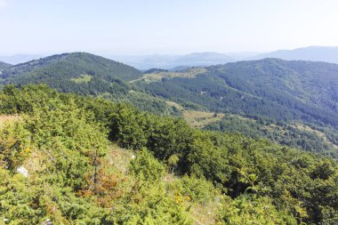 Bulgaristan 'ın Pernik Bölgesi, Kamenititsa zirvesi yakınlarındaki Erul dağının yaz manzarası