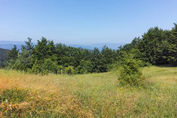 stock image Summer Landscape of Erul mountain near Kamenititsa peak, Pernik Region, Bulgaria