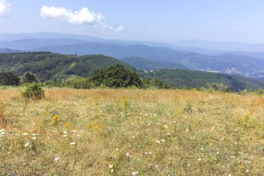 Bulgaristan 'ın Pernik Bölgesi, Kamenititsa zirvesi yakınlarındaki Erul dağının yaz manzarası