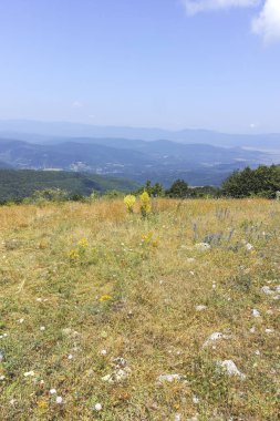 Bulgaristan 'ın Pernik Bölgesi, Kamenititsa zirvesi yakınlarındaki Erul dağının yaz manzarası