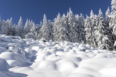Vitosha Dağı 'nın kış manzarası, Sofya Şehir Bölgesi, Bulgaristan