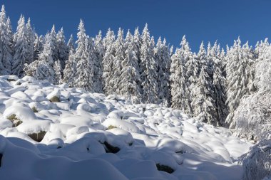 Vitosha Dağı 'nın kış manzarası, Sofya Şehir Bölgesi, Bulgaristan