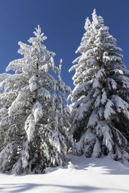 Vitosha Dağı 'nın kış manzarası, Sofya Şehir Bölgesi, Bulgaristan