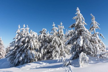 Vitosha Dağı 'nın kış manzarası, Sofya Şehir Bölgesi, Bulgaristan