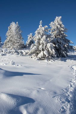 Vitosha Dağı 'nın kış manzarası, Sofya Şehir Bölgesi, Bulgaristan