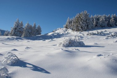 Vitosha Dağı 'nın kış manzarası, Sofya Şehir Bölgesi, Bulgaristan