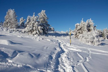 Vitosha Dağı 'nın kış manzarası, Sofya Şehir Bölgesi, Bulgaristan