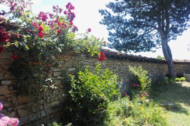 ZERAVNA, BULGARIA - 9 Temmuz 2023: 19. Yüzyıl evleri olan Zheravna Köyü, Sliven Bölgesi, Bulgaristan
