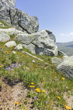 Bulgaristan 'ın Kalin zirvesi yakınlarındaki Rila Dağı' nın İnanılmaz Yaz Manzarası