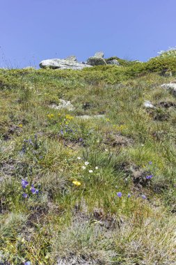 Bulgaristan 'ın Kalin zirvesi yakınlarındaki Rila Dağı' nın İnanılmaz Yaz Manzarası