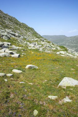 Bulgaristan 'ın Kalin zirvesi yakınlarındaki Rila Dağı' nın İnanılmaz Yaz Manzarası