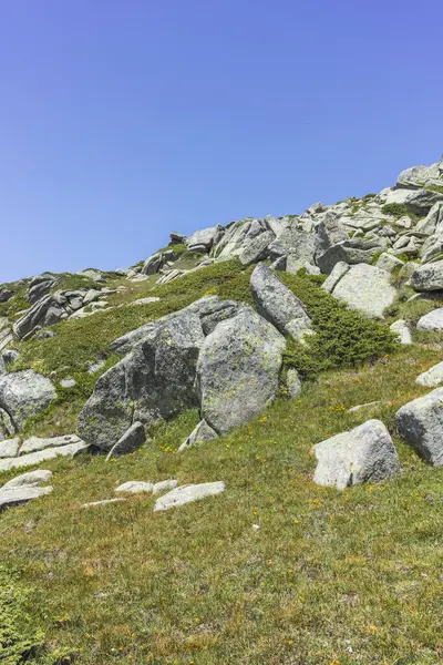 Bulgaristan 'ın Kalin zirvesi yakınlarındaki Rila Dağı' nın İnanılmaz Yaz Manzarası