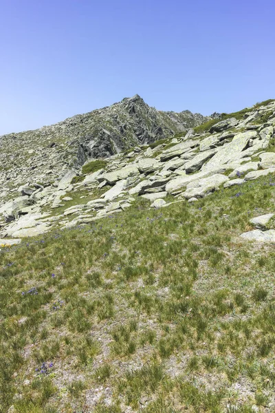 Bulgaristan 'ın Kalin zirvesi yakınlarındaki Rila Dağı' nın İnanılmaz Yaz Manzarası