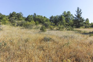 Rudina Dağı, Pernik Bölgesi, Bulgaristan 'ın İnanılmaz Yaz Manzarası