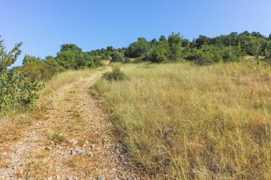 Rudina Dağı, Pernik Bölgesi, Bulgaristan 'ın İnanılmaz Yaz Manzarası