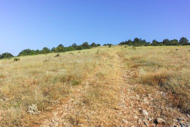 Rudina Dağı, Pernik Bölgesi, Bulgaristan 'ın İnanılmaz Yaz Manzarası