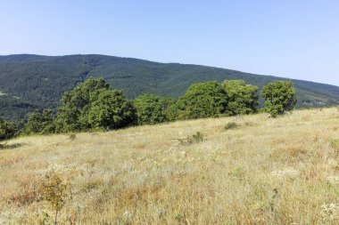 Rudina Dağı, Pernik Bölgesi, Bulgaristan 'ın İnanılmaz Yaz Manzarası