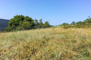 Rudina Dağı, Pernik Bölgesi, Bulgaristan 'ın İnanılmaz Yaz Manzarası