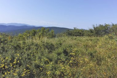 Rudina Dağı, Pernik Bölgesi, Bulgaristan 'ın İnanılmaz Yaz Manzarası