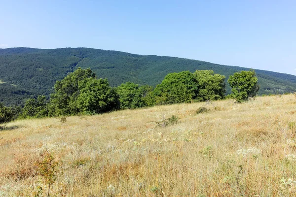 Rudina Dağı, Pernik Bölgesi, Bulgaristan 'ın İnanılmaz Yaz Manzarası