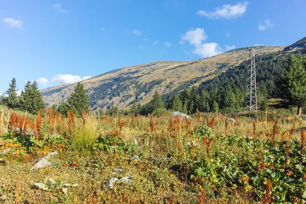 stock image Landscape of area of Tiha Rila (Quiet Rila), Rila mountain, Bulgaria