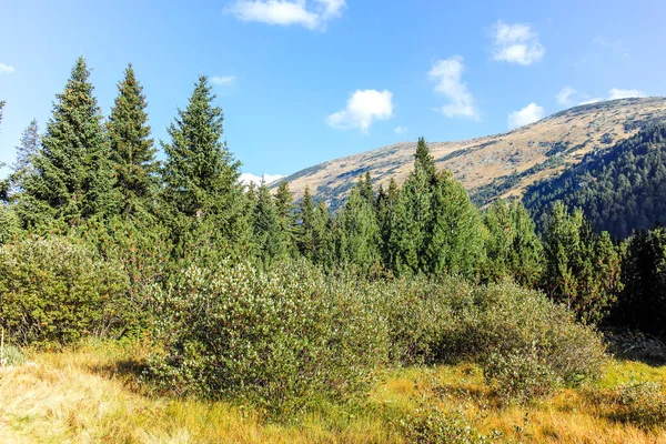 Stock image Landscape of area of Tiha Rila (Quiet Rila), Rila mountain, Bulgaria