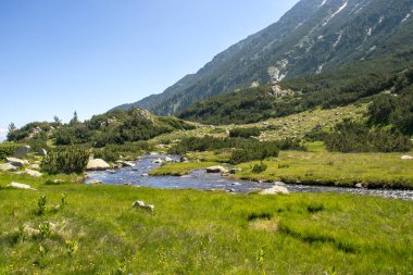 Bulgaristan 'ın Pirin Dağı' ndaki Muratovo Gölü yakınlarındaki manzara